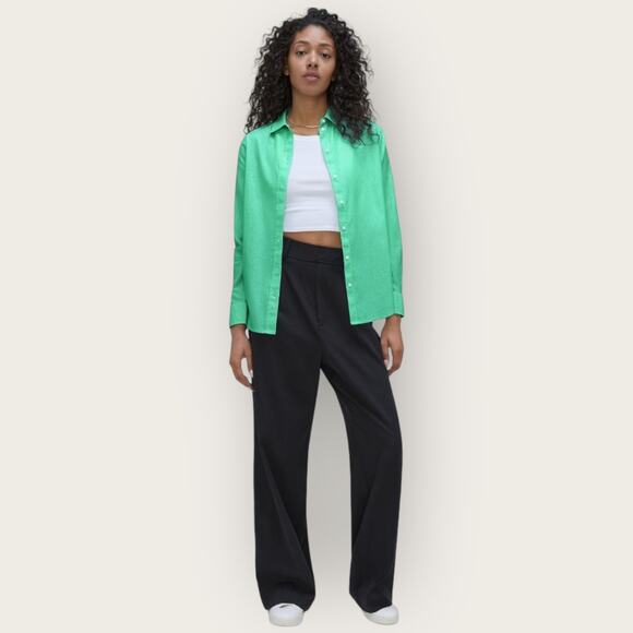 Everlane Oversized Striped Button Up Shirt | Size 0 | Mint Green Cotton Oxford - Picture 1 of 9